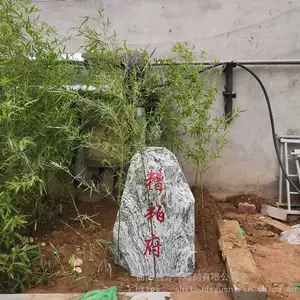 �¿�ѩ��ʯ��������ɳ����ʯ���ַ羰ʯ���Ҷ���