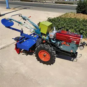 �����ַ���������¢�� 15���������� ����������