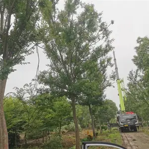 �̻���ľ���� 20�����������۸� ������������