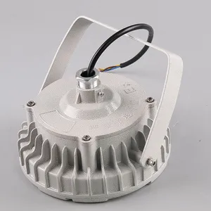 仓库厂房50W60瓦100W加油站照明投光灯,新驰30W经济款防爆灯