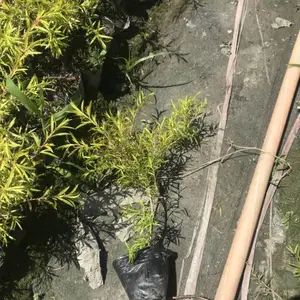 �㽭ǧ���С����أ��������۸߶�25�������ϵĹ�����