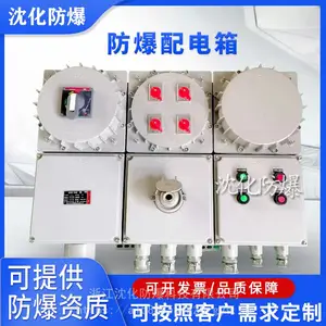 IIC级防爆应急照明配电箱 防尘防腐操作控制箱 IP65检修电源插座箱