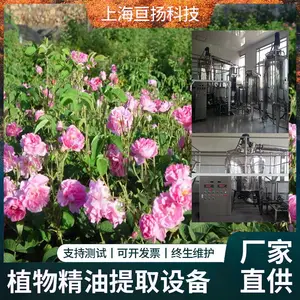 大型玫瑰花精油蒸馏提取萃取设备，多功能植物精油水汽蒸馏设备