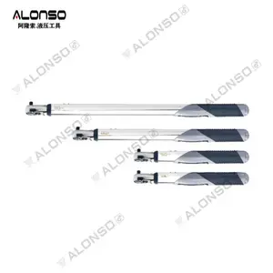 DG手动数显扭矩扳手-预制力数显扭矩扳手-手动定力矩扳手-ALONSO