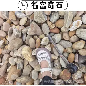 揭阳变电站鹅卵石专用 揭阳天然鹅卵石一吨多少钱 揭阳鹅卵石铺地面