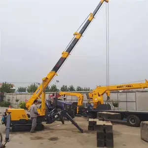 ���Ҷ���֩����� �Ĵ�֩��� С�����ػ�