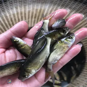 �û�����ͷ���� ����������������������