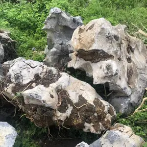 ����̫��ʯ ��ʯ ��ʯ ��ʽ԰�ּ�ɽʯ ͥԺ����̫��ʯ ������