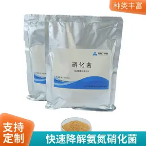 污水处理降低氨氮?高效硝化菌废水处理剂,实力排出氨氮超标困扰