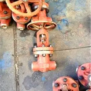 �㺺�з������� Z61H-160C DN200 �͸ֳв庸բ�� ����ʽ��ѹբ�� ���ܷ⺸��բ��