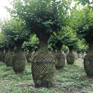 ��ޱС��ƿ����,1.5�׸߻�ƿ����۸�,���ϻ�������۸���ˣ�