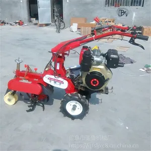 �������￪����¢�� �ƽ��������������� ʥ³��԰��������Ƶ