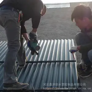 ��������Ĥ �������·���Ĥ ˮ����ֳĤ����������Ĥ