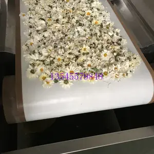���չ���΢��ɱ�����