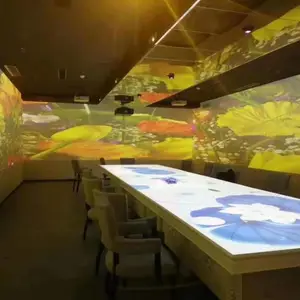 ʡ������ʽ�����ư�KTV�籾ɱ����3DȫϢ¥��ͶӰ����������