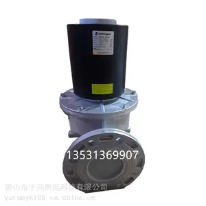 ������˹Elektrogasȼ����ŷ�VMR92-DN100