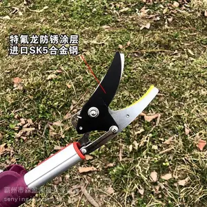 ԰�ֲɹ�ժ��������ʽ�߿�ժ���� ժ������֦�������˸�֦��