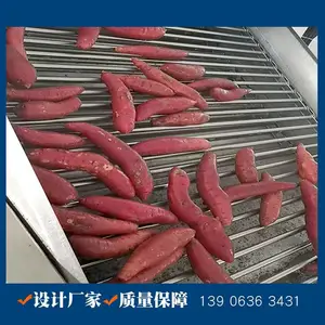 蜜薯烘烤线 从地头到餐桌香烤地瓜机 鹏福特连续红薯烘烤生产线