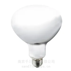 日本灯泡BHRF200/220V160WH原装进口EYE岩崎IWASAKI灯泡RF110V90W/100W形