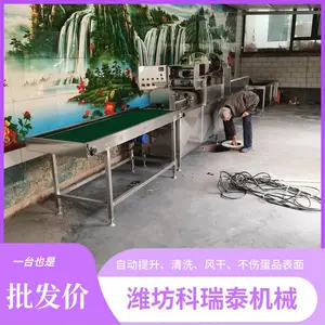 咸鸭蛋烤鸭蛋清洗线 鸡蛋鸭蛋深加工洗蛋机 定制全套洗蛋流水线