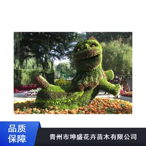 ����ֲ���̵�����_������ɫ���������ʩ��