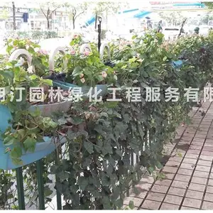 道路护栏PP花盆厂家直发/护栏鞍马花盆
