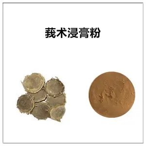 莪术浸膏粉 萃取粉 棕黄色粉末 喷雾干燥 沃特莱斯生物