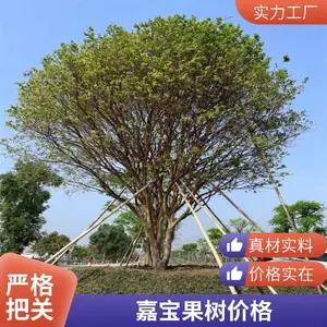 �α����� �䱦�� ����ֱ�� ũ����ֲ�������� ȫ������