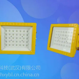 ������100W����Ͷ��糧����100WLED����Ͷ���