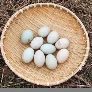 苏州土鸭蛋价格