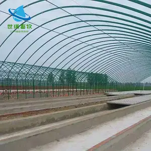 养猪大棚规划设计 养猪场设计搭建