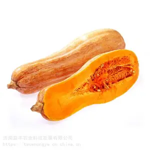 �����Ϲ���ֲ���� �Ϲ����Ӽ۸� �ֻ���Ӧ �����ҵ
