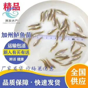 ���������������Ӧ ***�������൭ˮ���� ������ �ƹǻ�������������