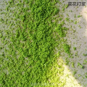 小型青饲料打浆机/蔬菜打浆机/圣鲁草浆机