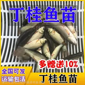 ����ˮ������ŷ�޶��i�������������궡�i ˮ�����������˳�糵˳�������䷽ʽ�ξ���ѡ