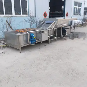 直销大枣 圣女果 苹果 小油菜 菜花 黄花菜 海带鲍鱼去杂气泡清洗机