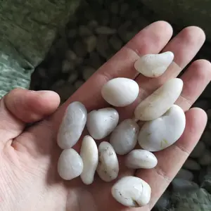��Ӧ���׹��ɫ1-2����-***�׹��ɫ�껨ʯ