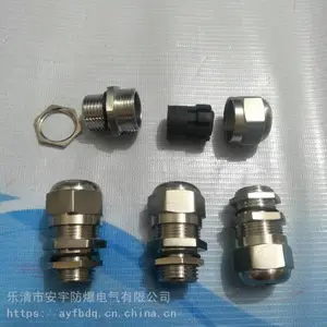 �����ܽ�ͷBGJ-G11/4˫��ExdII