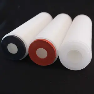 ��ˮ��PTFE 0.1΢���۵�������ˮ��о01.E70.10VG.16.S.P��Ԫ