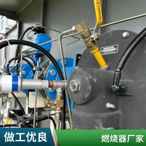 炭化炉 生物质气燃气燃烧器天然气燃烧机源头厂家岱鼎燃烧