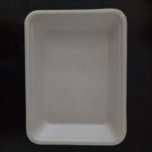 一次性盘纸浆托盘烧烤盘纸餐盘外卖快餐盘可降解托盘甘蔗浆盘