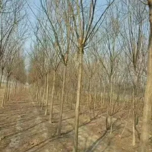 ����������Ʒ������ľ���ؼ۸�����