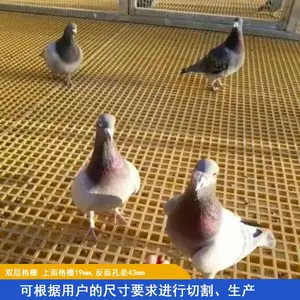 ������ֳ����©���̤�� �ӱ���ǿ