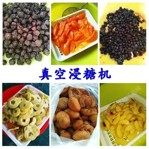 果脯蜜饯生产设备 真空浸糖罐 真空渗糖设备
