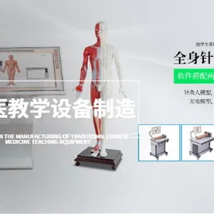 西安中医针灸仿真训练系统 上海都康仪器设备供应