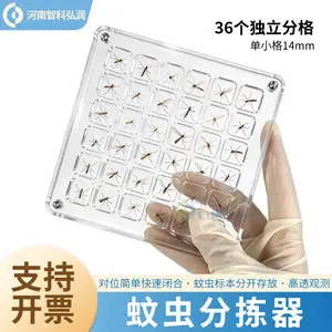 �ó�ּ���͸���ǿ����� �ĽǴ��������ָ� ���������ó��ѡ����