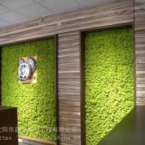 怒江永生苔藓是真植物吗大量批发森美景观