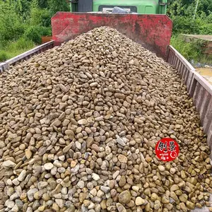 惠来县鹅卵石批发价格-污水处理鹅卵石发货-5-8公分鹅卵石原石