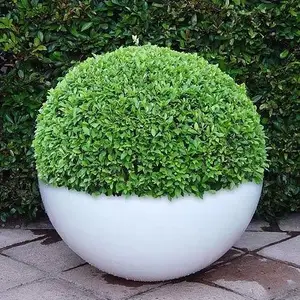 ���и���Ԥ����ˮ���������� ��·�������������� ˮ�໨��