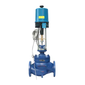 ����¿ط� ZZWPE-16C DN15 ����ʽ�¶ȵ��ڷ������¿ط�